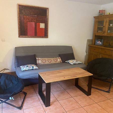 אוש Vallee De Chamonix Au Pied Des Pistes מראה חיצוני תמונה