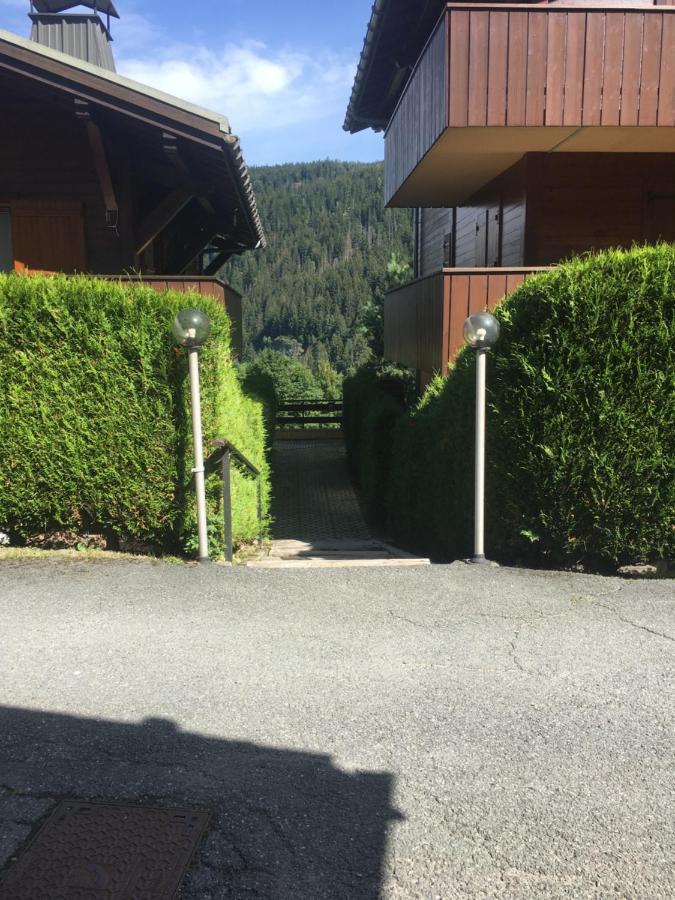 אוש Vallee De Chamonix Au Pied Des Pistes מראה חיצוני תמונה