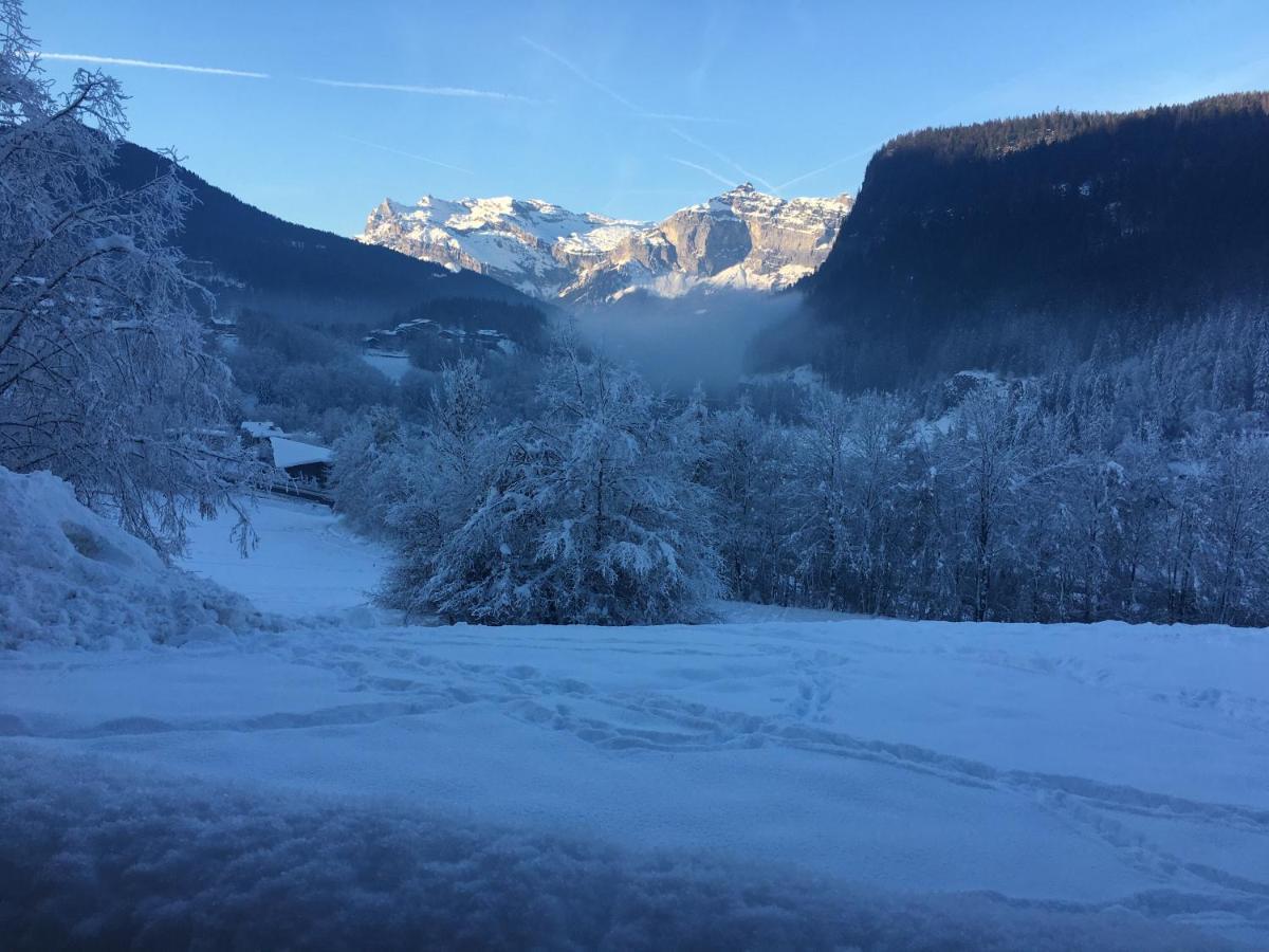 אוש Vallee De Chamonix Au Pied Des Pistes מראה חיצוני תמונה